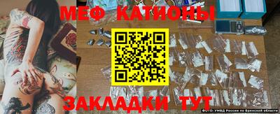 гидропоника Гатчина