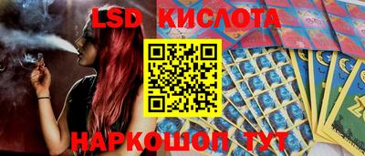 гидропоника Гатчина