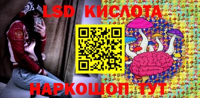 гидропоника Гатчина