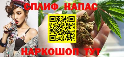 гидропоника Гатчина