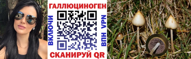 ОМГ ОМГ маркетплейс  Зеленогорск  Галлюциногенные грибы MAGIC MUSHROOMS 