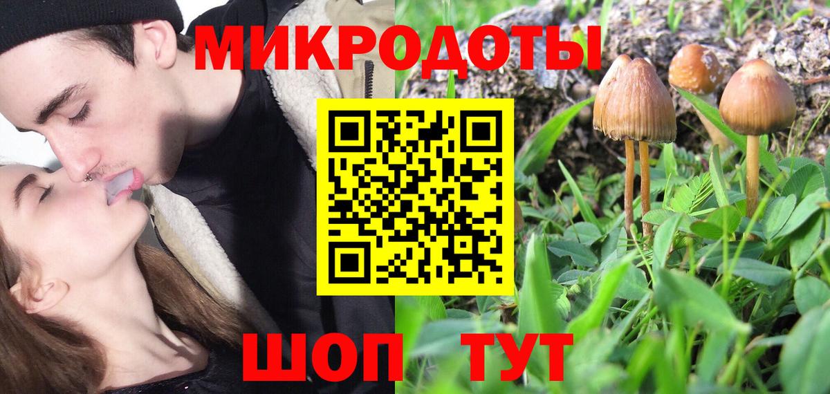 Галлюциногенные грибы Psilocybe  Вход с VPN  Зеленогорск 
