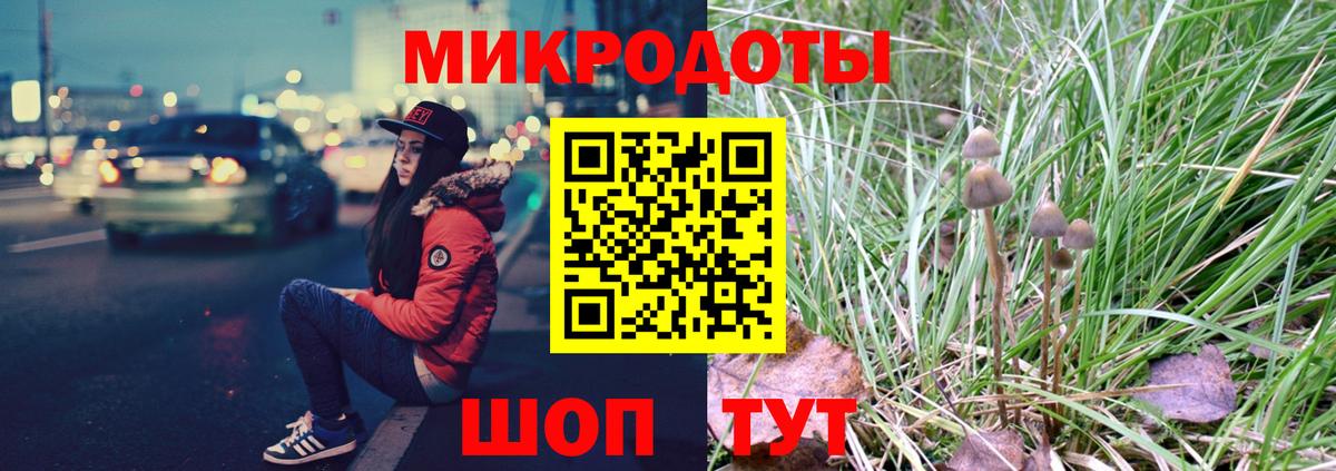 Галлюциногенные грибы Magic Shrooms Зеленогорск